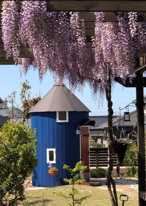 藤の花とムーミン小屋
